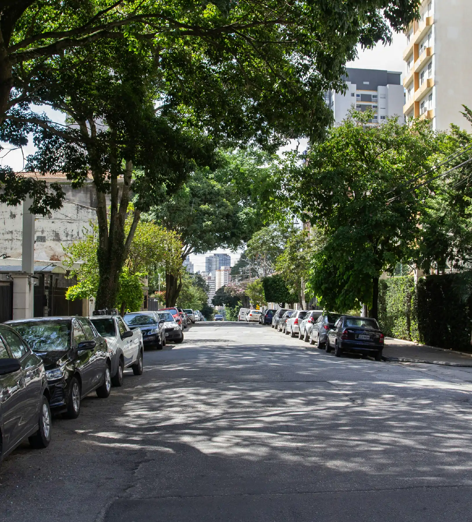 Foto do bairro Chácara Inglesa